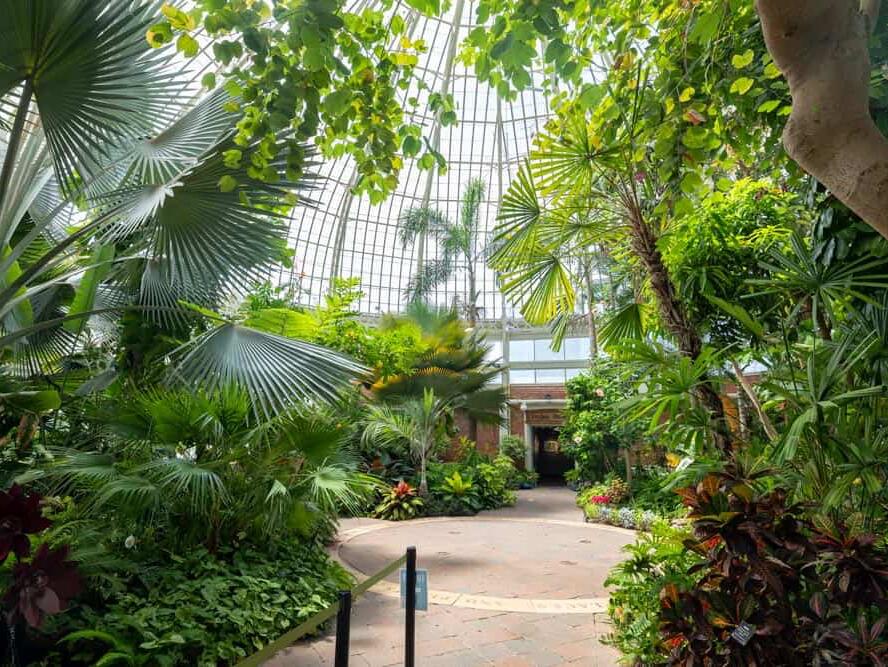 Picture of Buffalo and Erie County Botanical Gardens