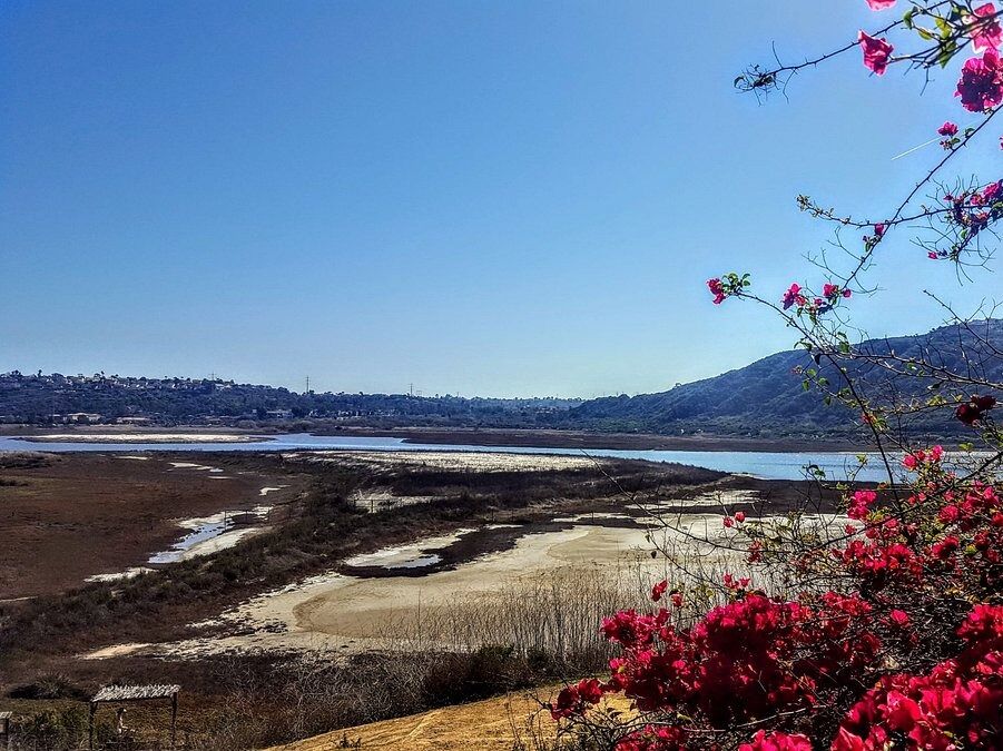 Picture of Batiquitos Lagoon