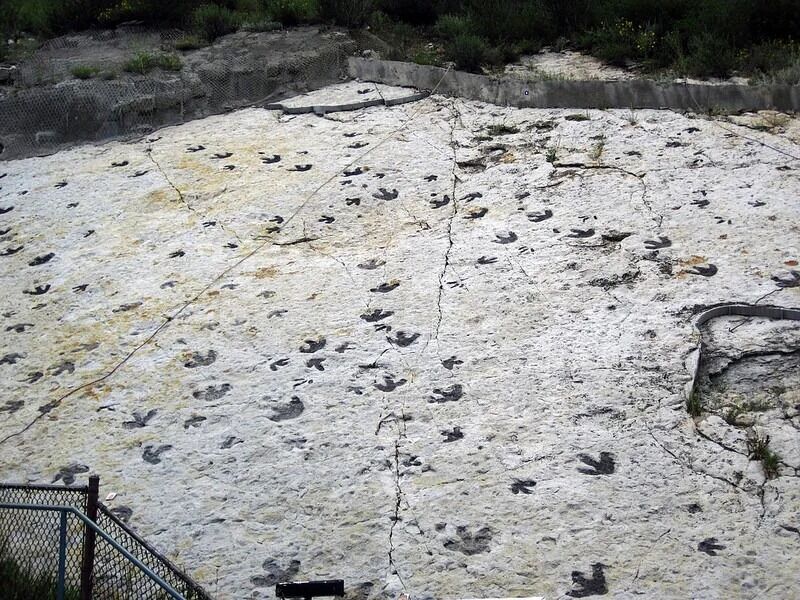 Picture of Dinosaur Ridge