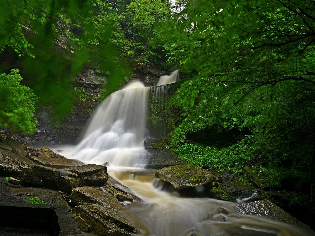 Picture of Fillmore Glen State Park