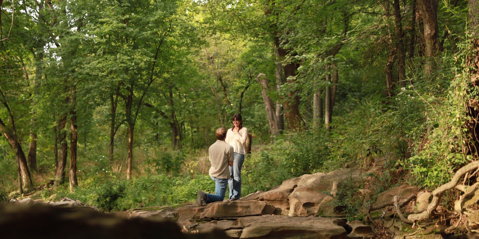 Henry & Emily Home Page Banner