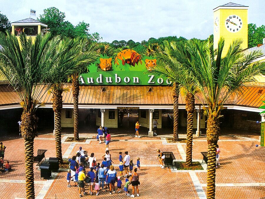 Picture of Audubon Zoo