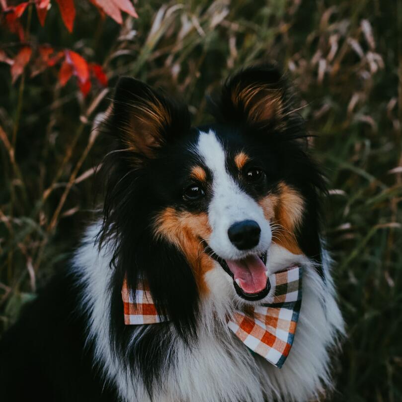 Riley Theodore