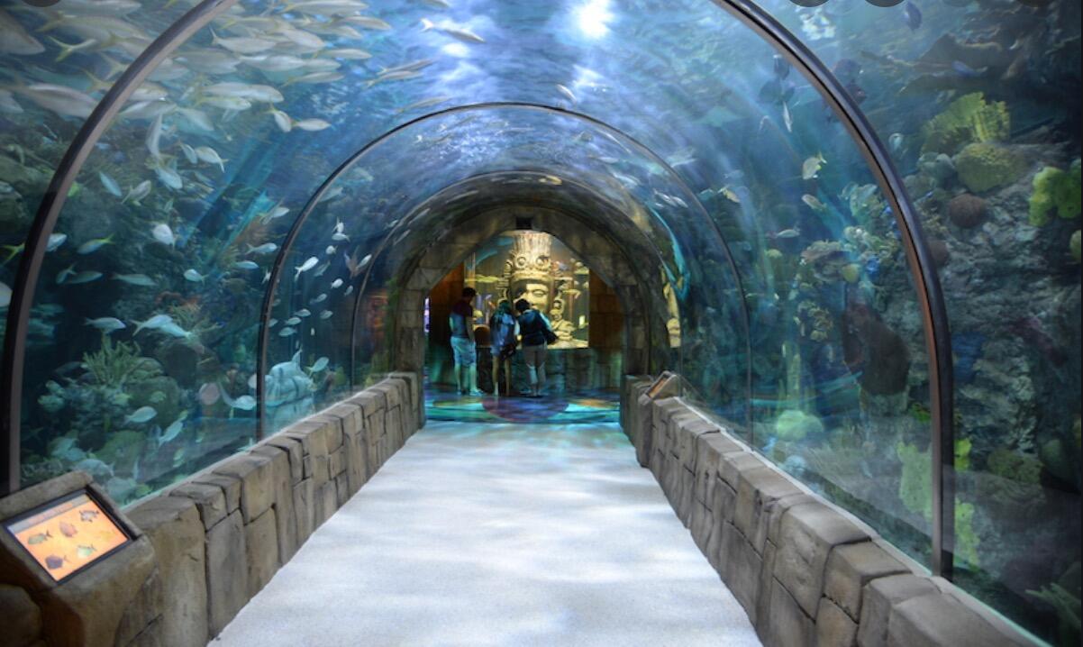 Picture of Audubon Aquarium of the Americas