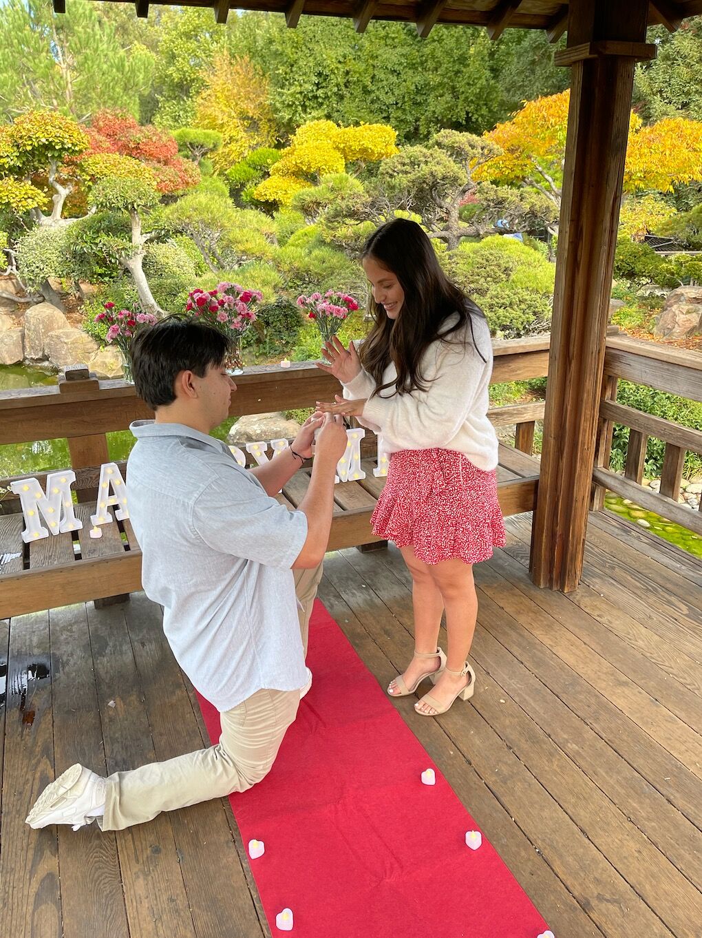 Picture of Will You Marry Me?