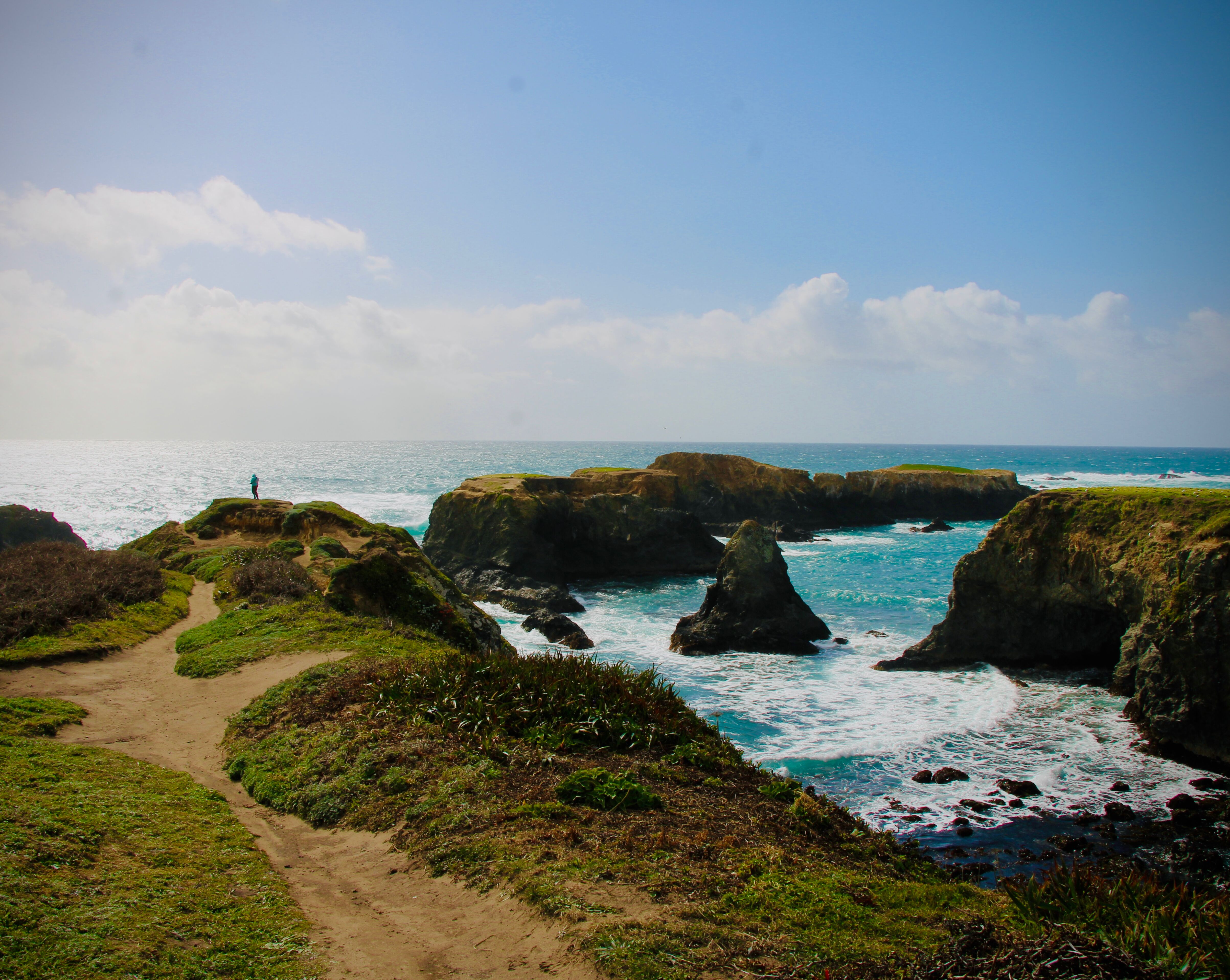 Picture of Mendocino Headlands State Park
