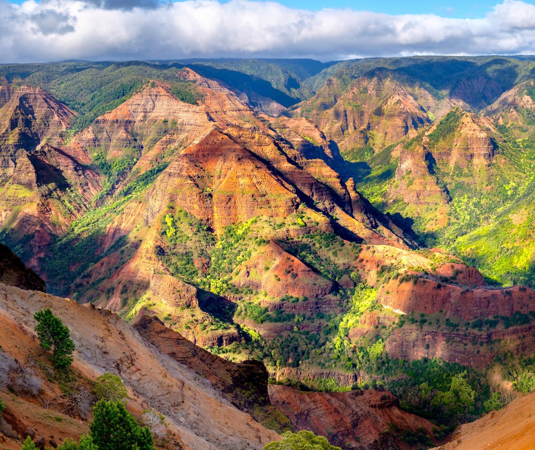 Picture of Waimea Canyon