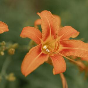 Gallery Photo 7