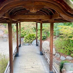 Gallery Photo 14