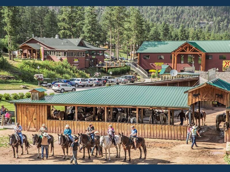 Picture of Go horseback riding 