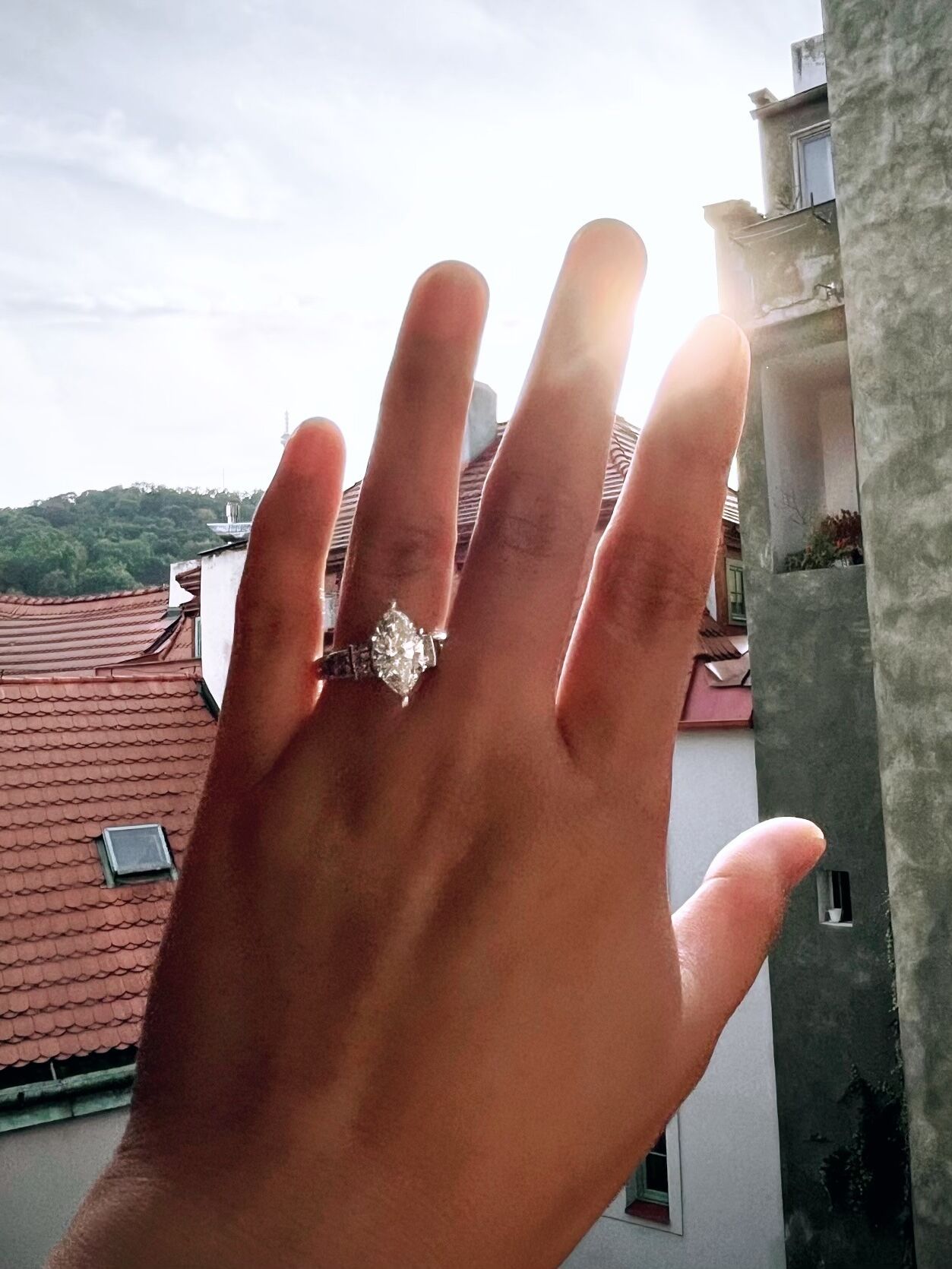 Picture of She said YES!