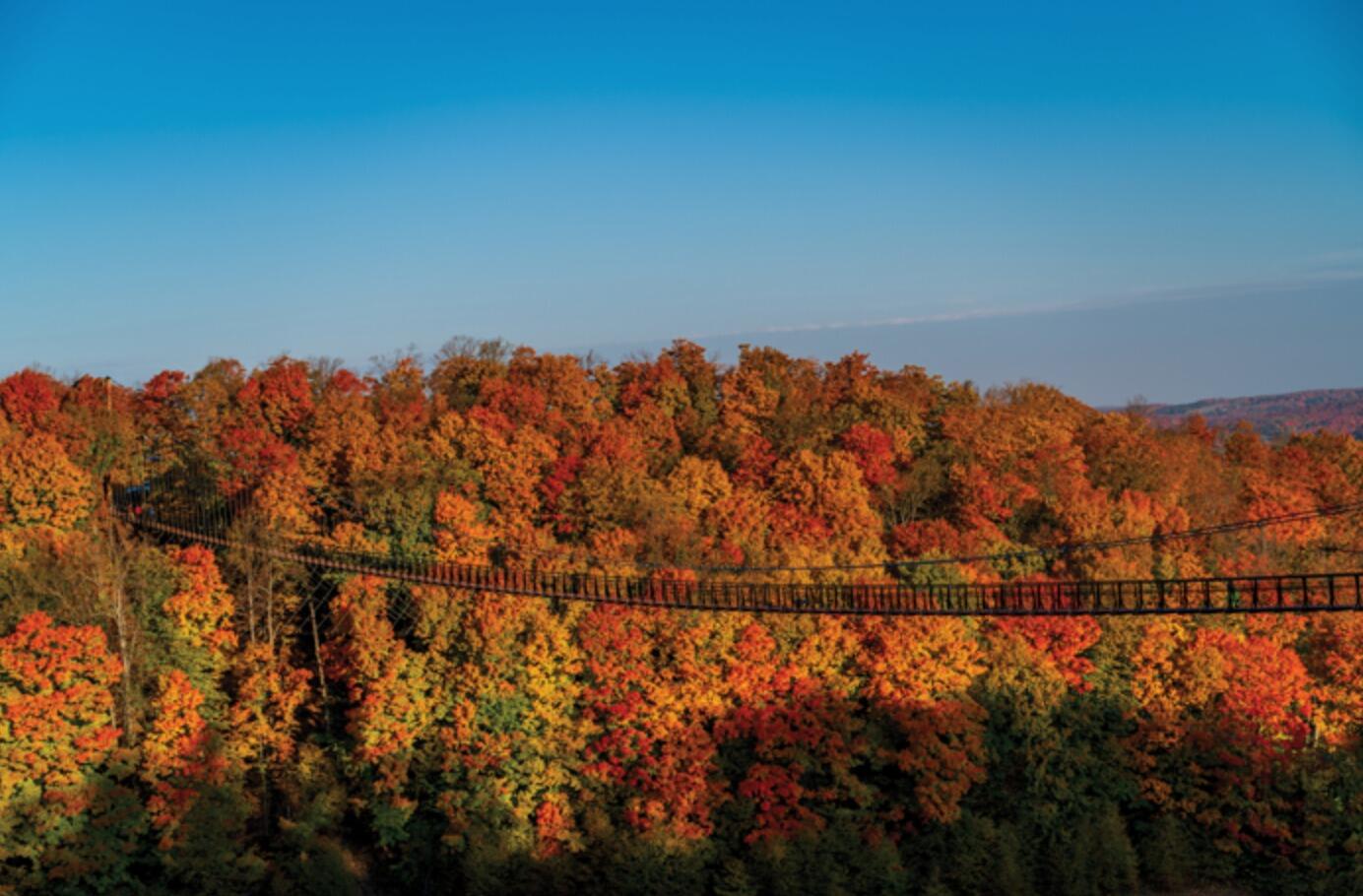 Picture of SkyBridge Michigan