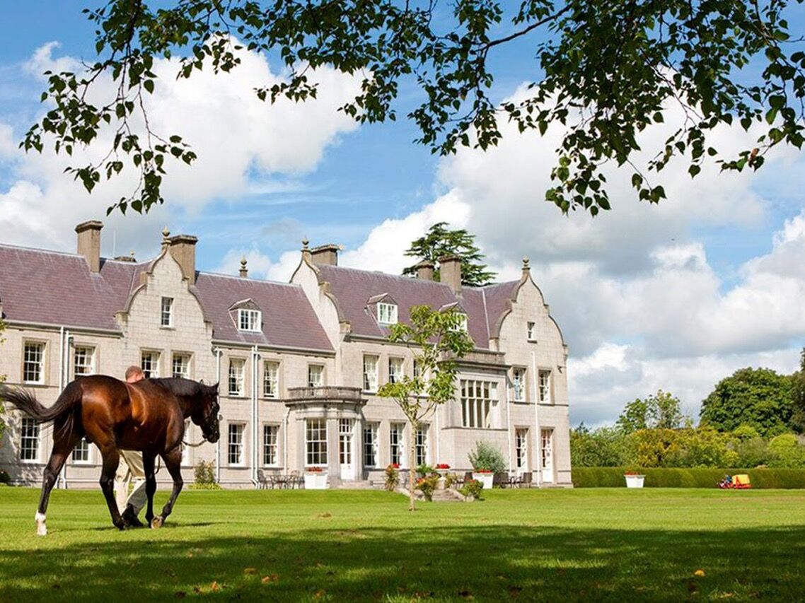 Picture of Kildangan Stud Farm (Godolphin) (Book with Amy by 15th)
