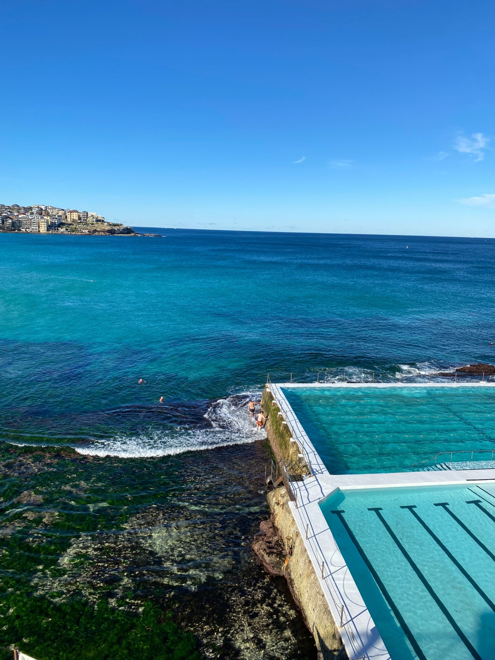 Picture of Bondi to Coogee Walk