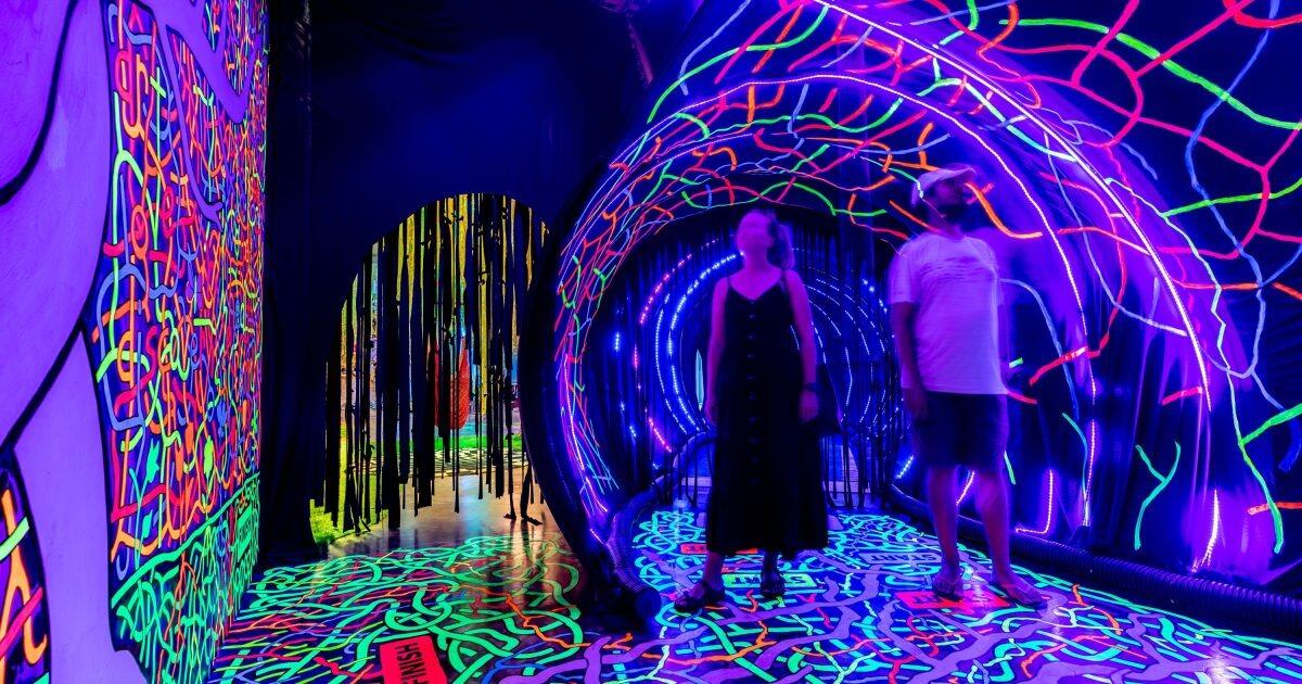 Picture of The Looking Glass Immersive Art Experience