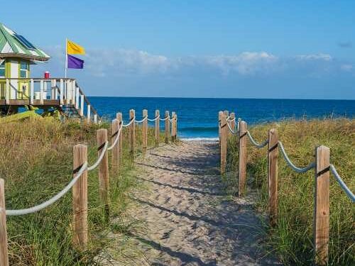 Picture of Visit the Beach