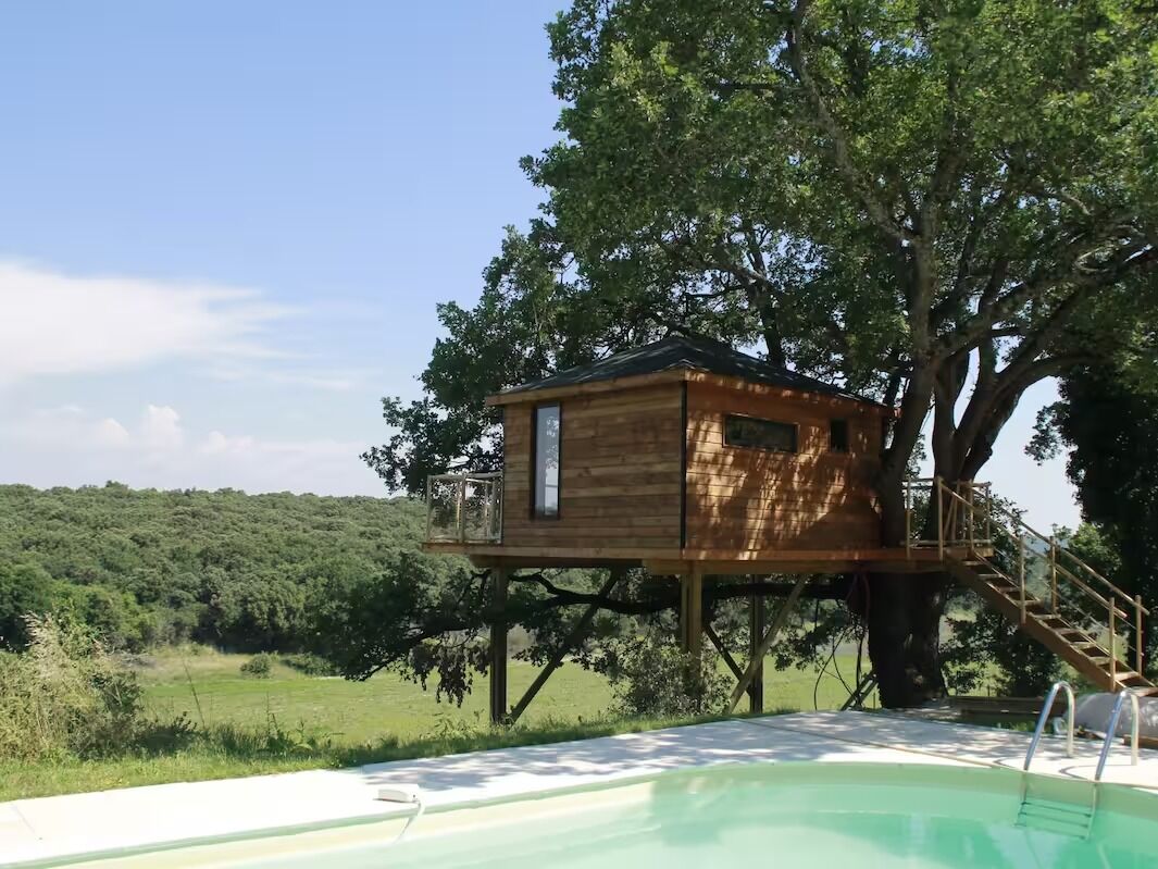 Picture of Cabane dans un arbre