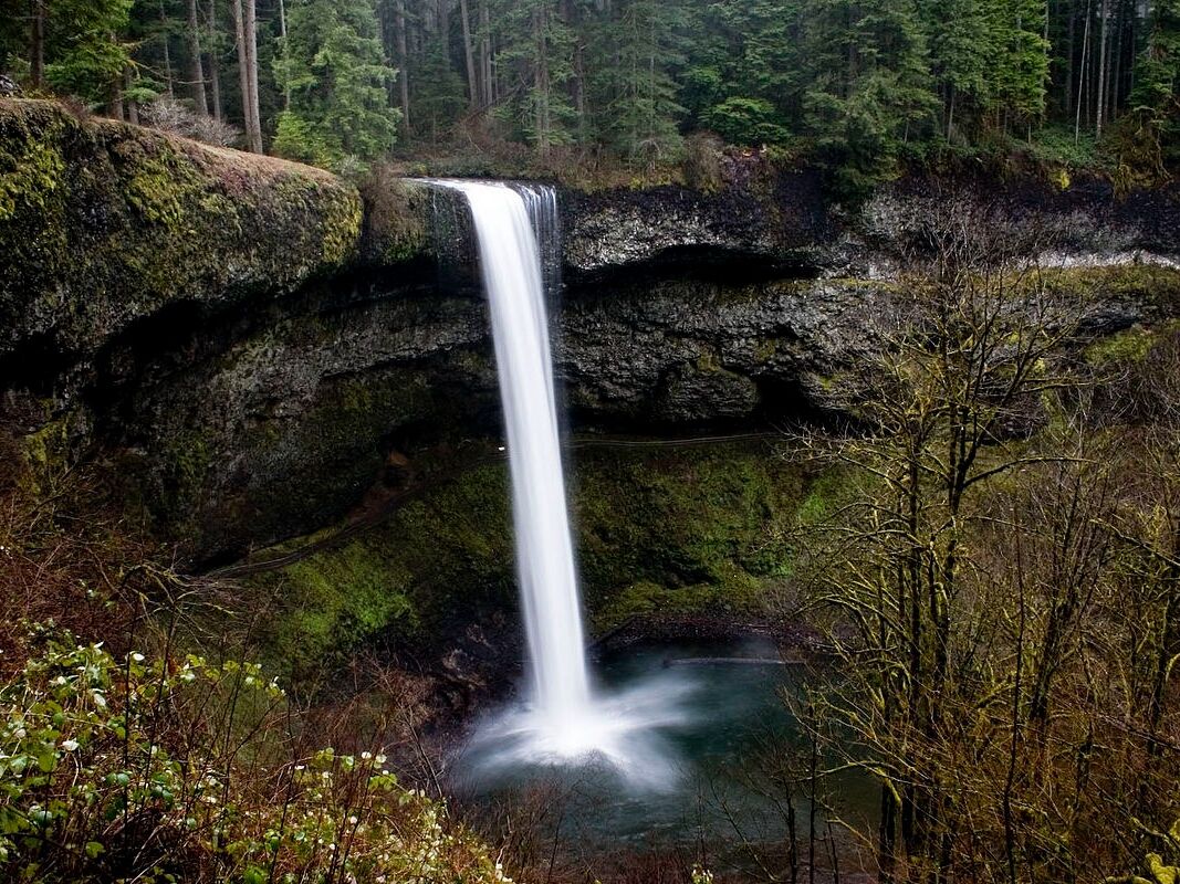 Picture of Silver Falls State Park