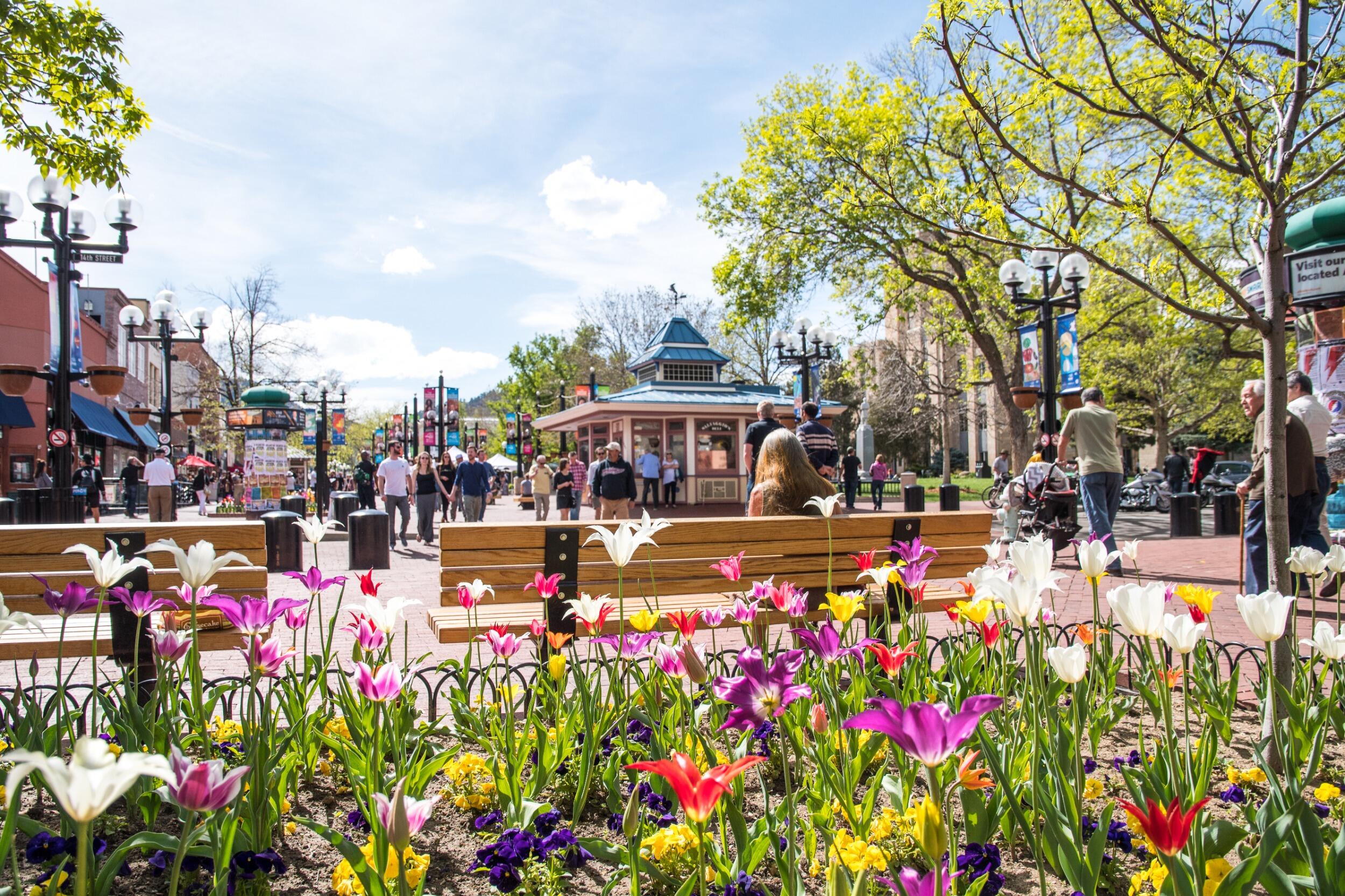 Picture of Pearl Street Mall