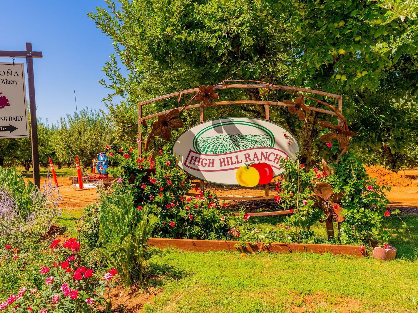 Picture of Apple Hill