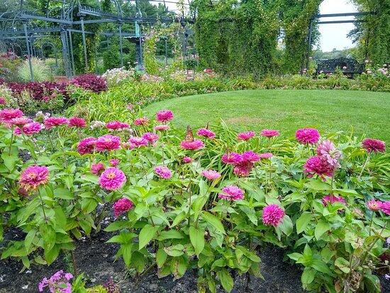 Picture of Munsinger Gardens