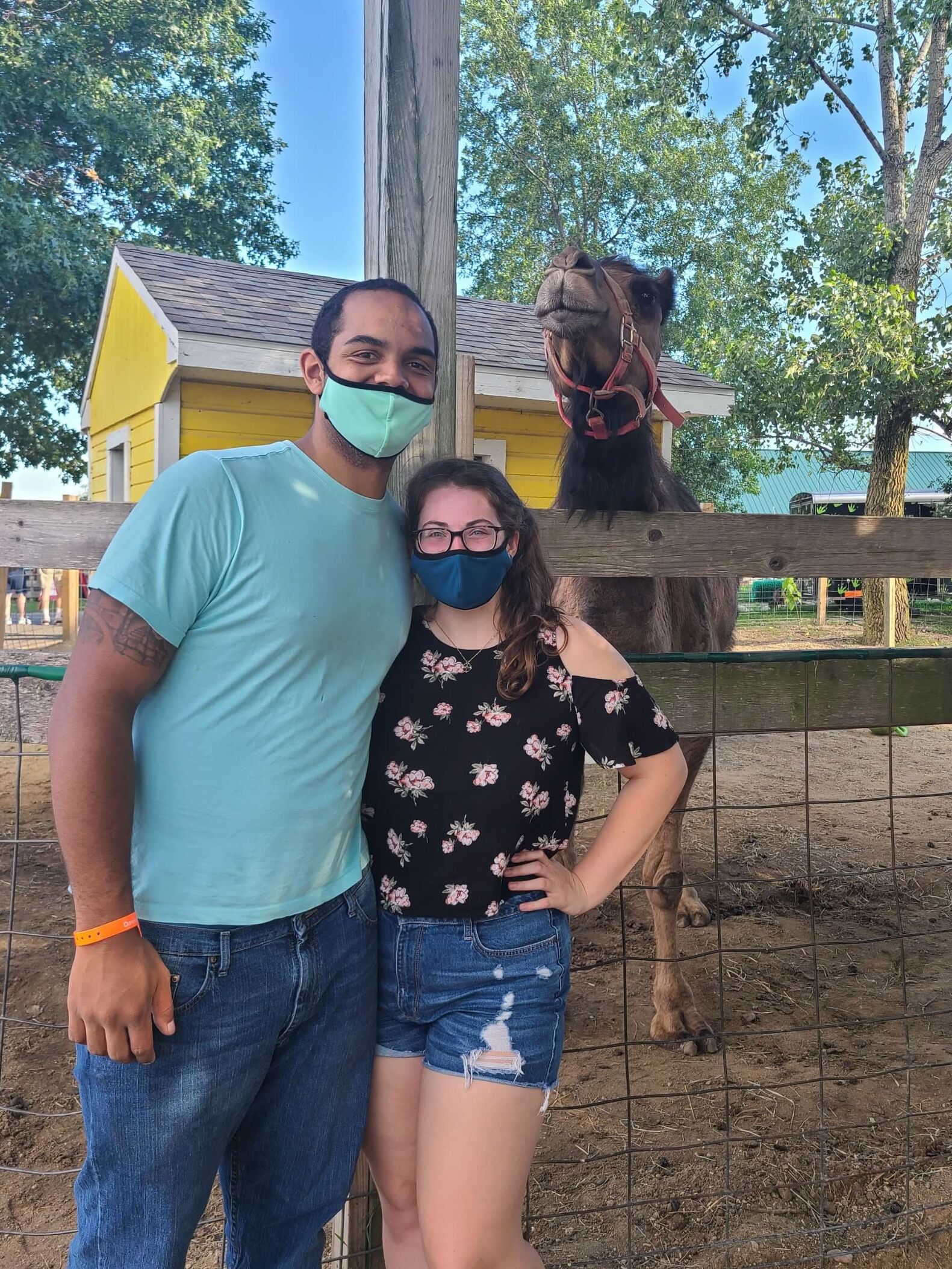 Picture of Day full of Animals