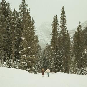 Gallery Photo 8