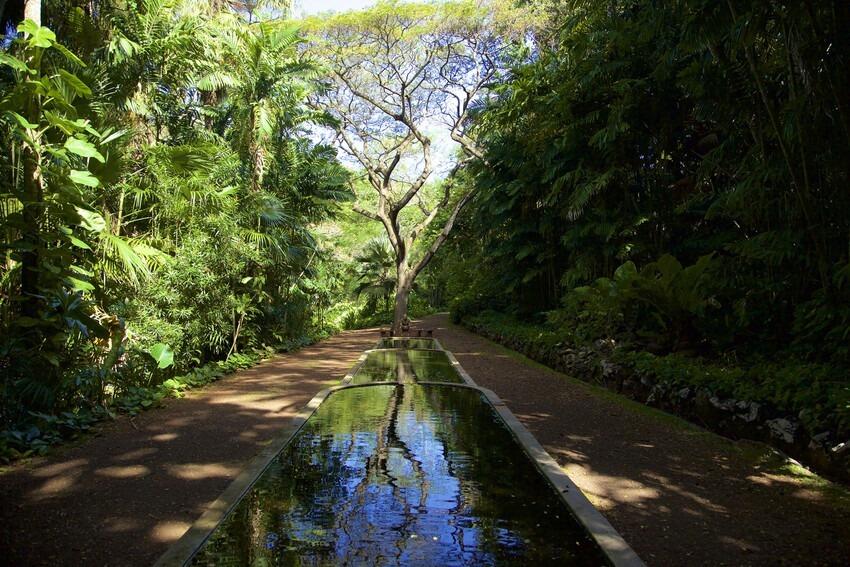 Picture of National Tropical Botanical Garden South Shore