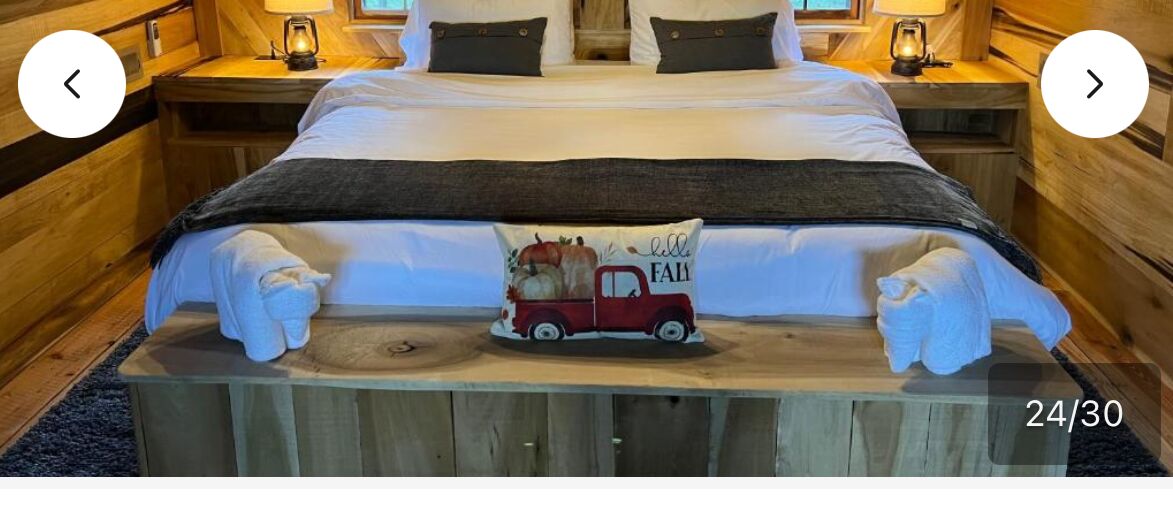 Picture of Bear Necessities Cabin