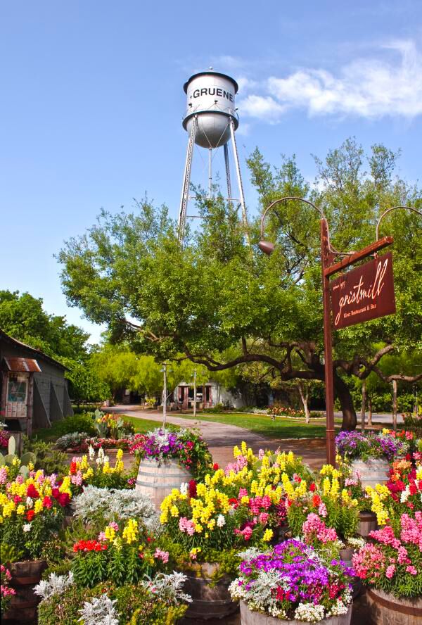 Picture of All Things Gruene Texas!!