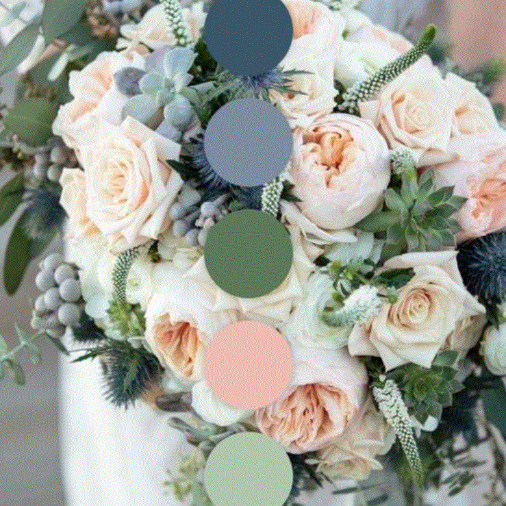 Picture of What are the Wedding colors?