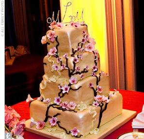 The Cake