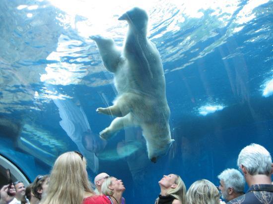 Picture of The Pittsburgh Zoo & PPG Aquarium