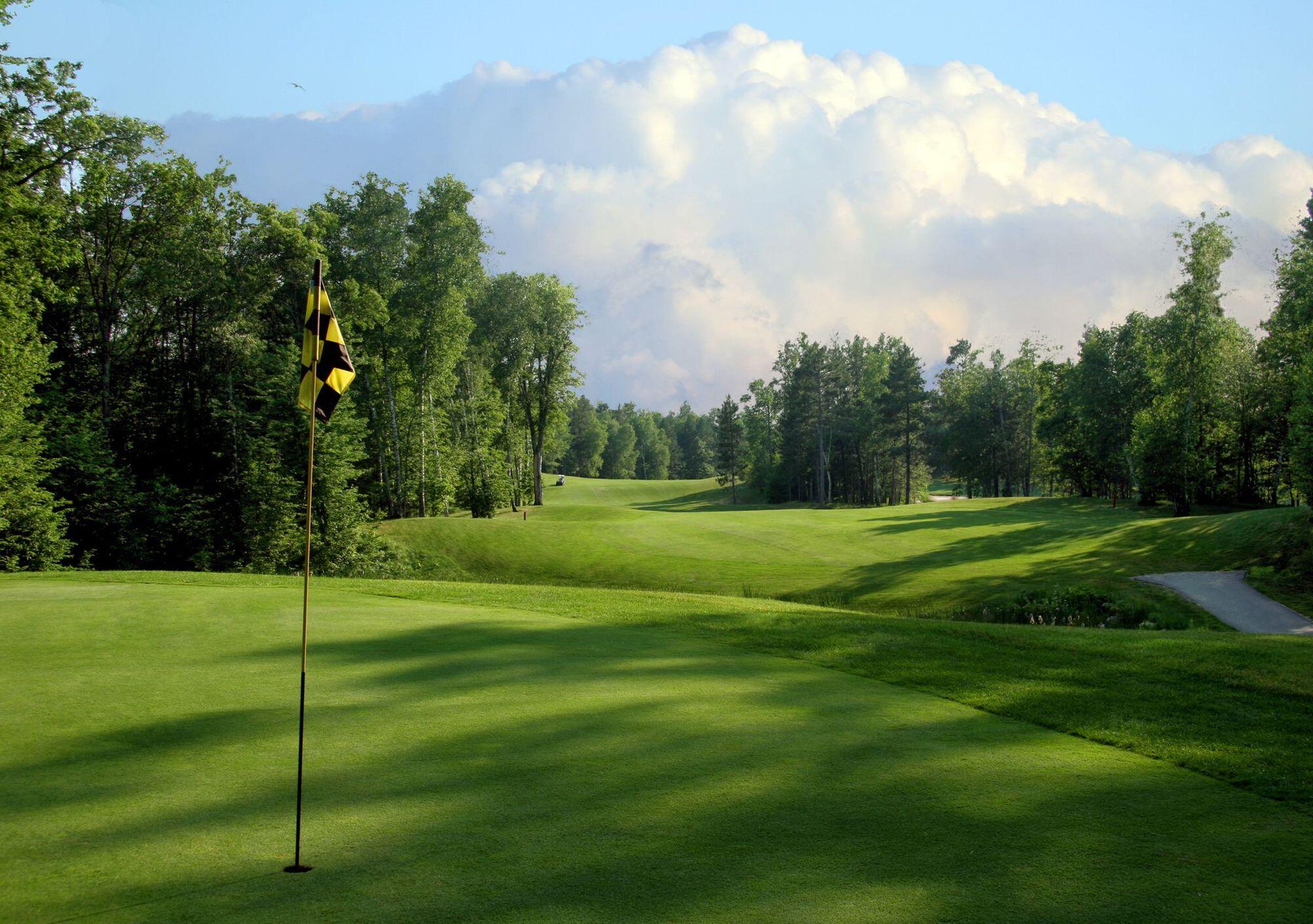 Picture of Golfing 