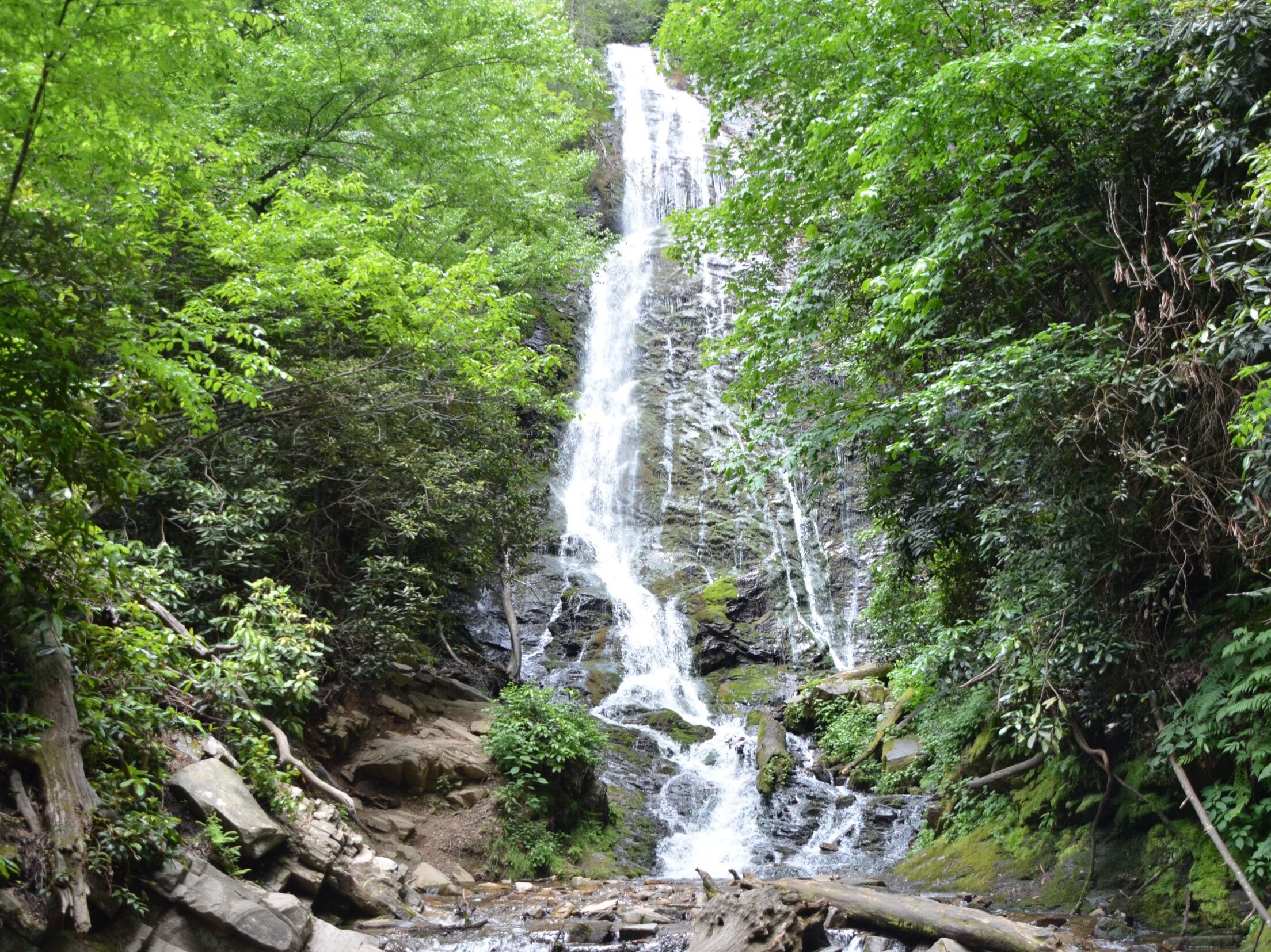 Picture of Mingo Falls