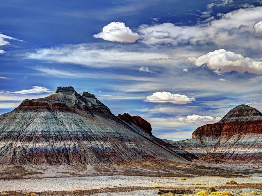 Picture of Petrified Forest National Park