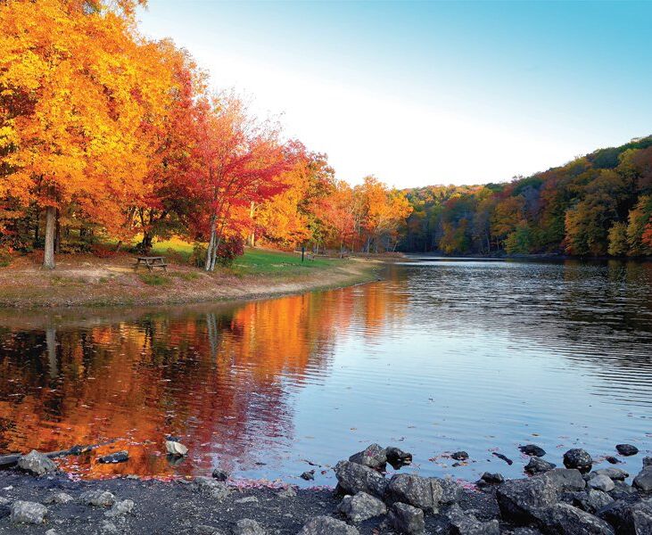 Picture of Brown County State Park 