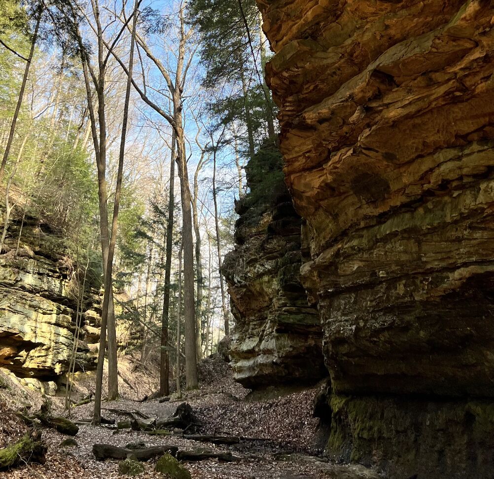 Picture of Shades State Park