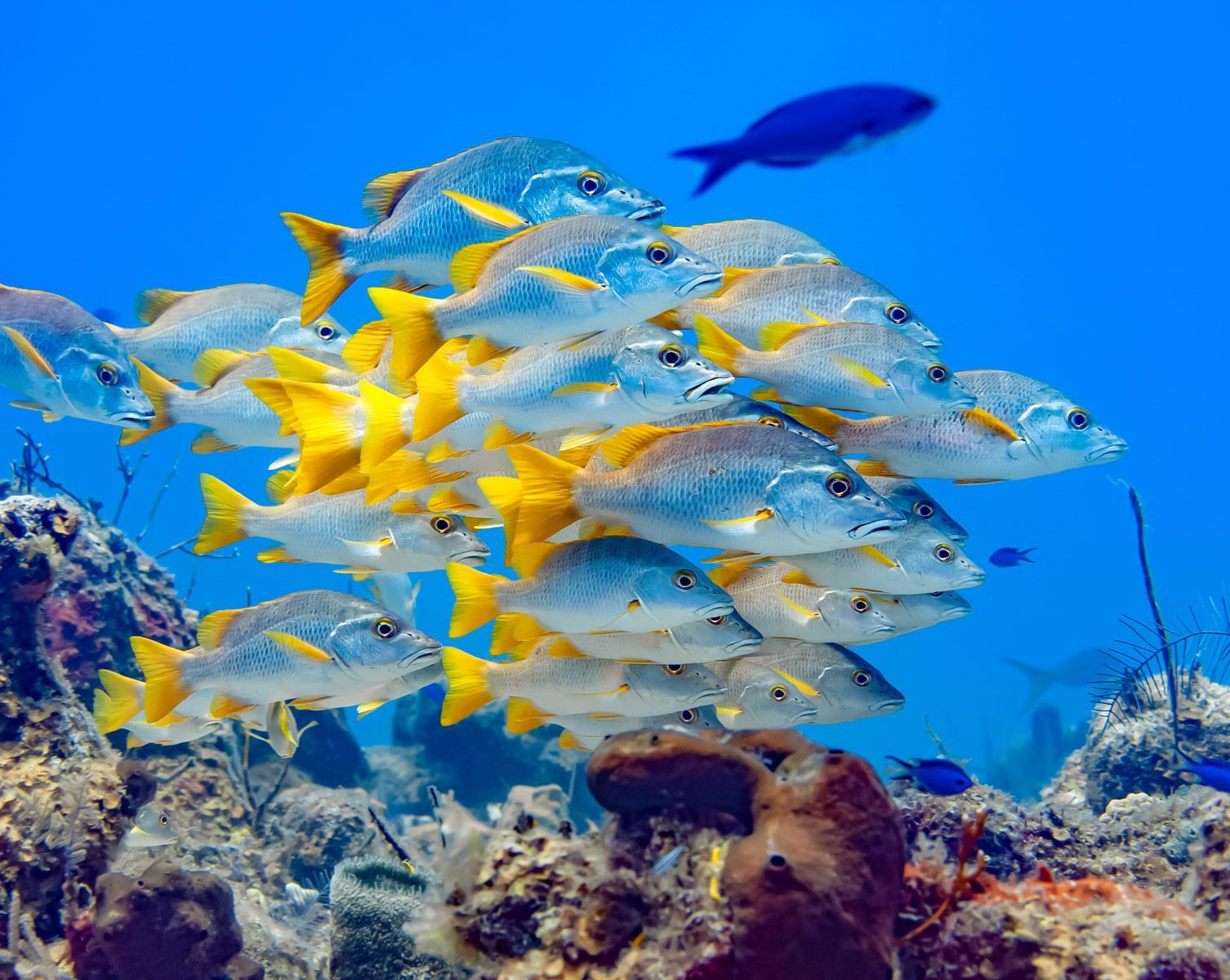 Picture of Grand Turk