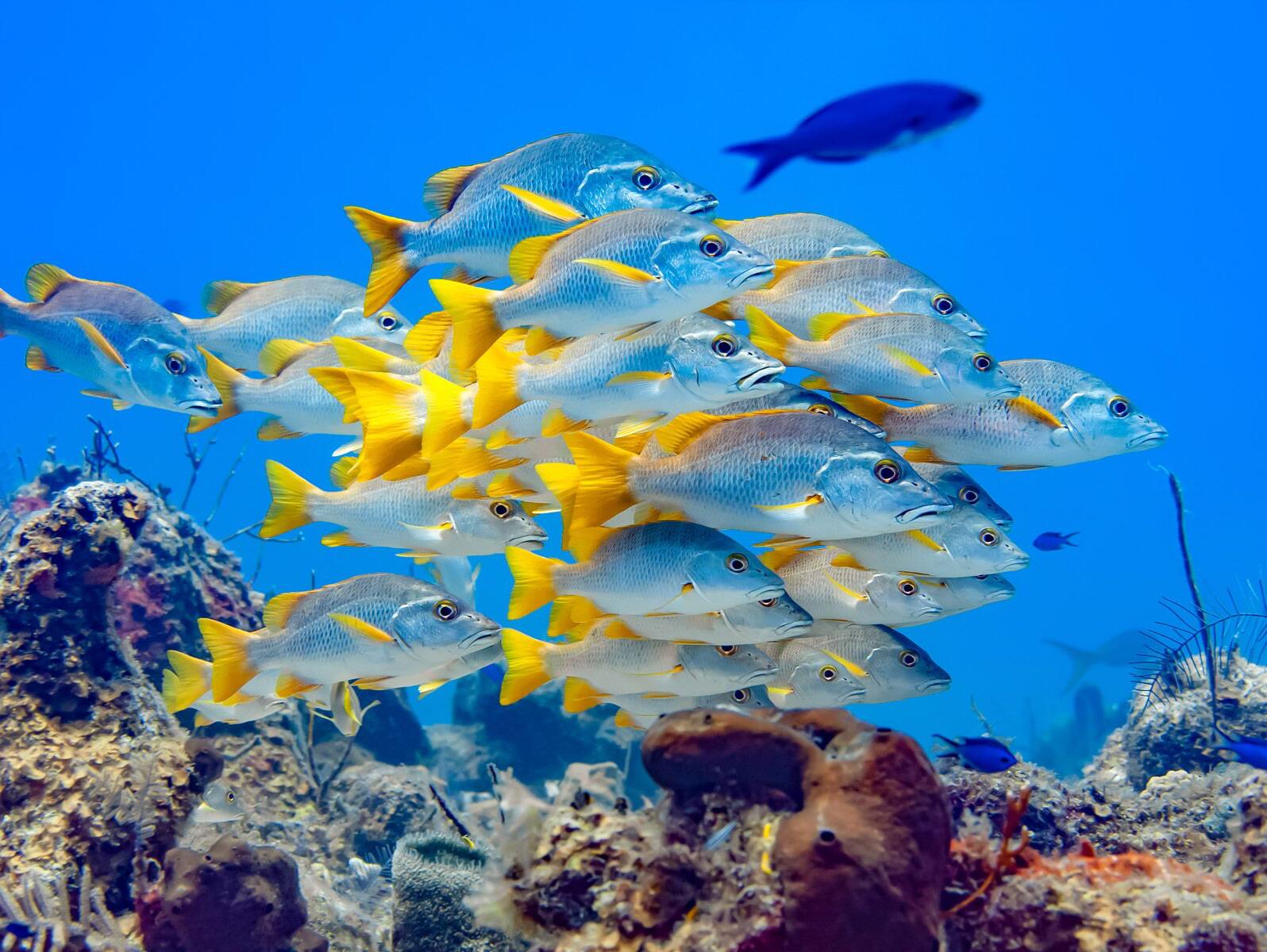 Picture of Grand Turk