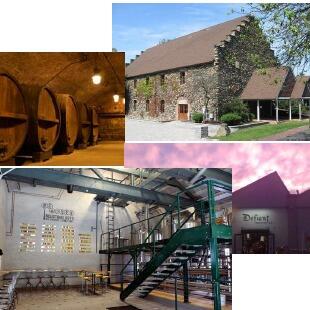 Local Wineries and Breweries