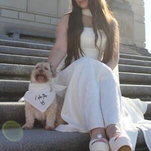 Gallery Photo 24