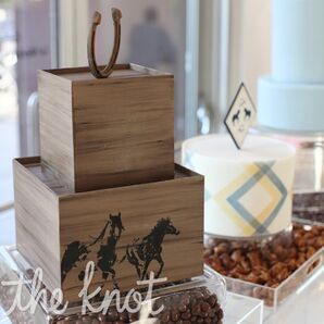 Western Ranch Groom's Cake
