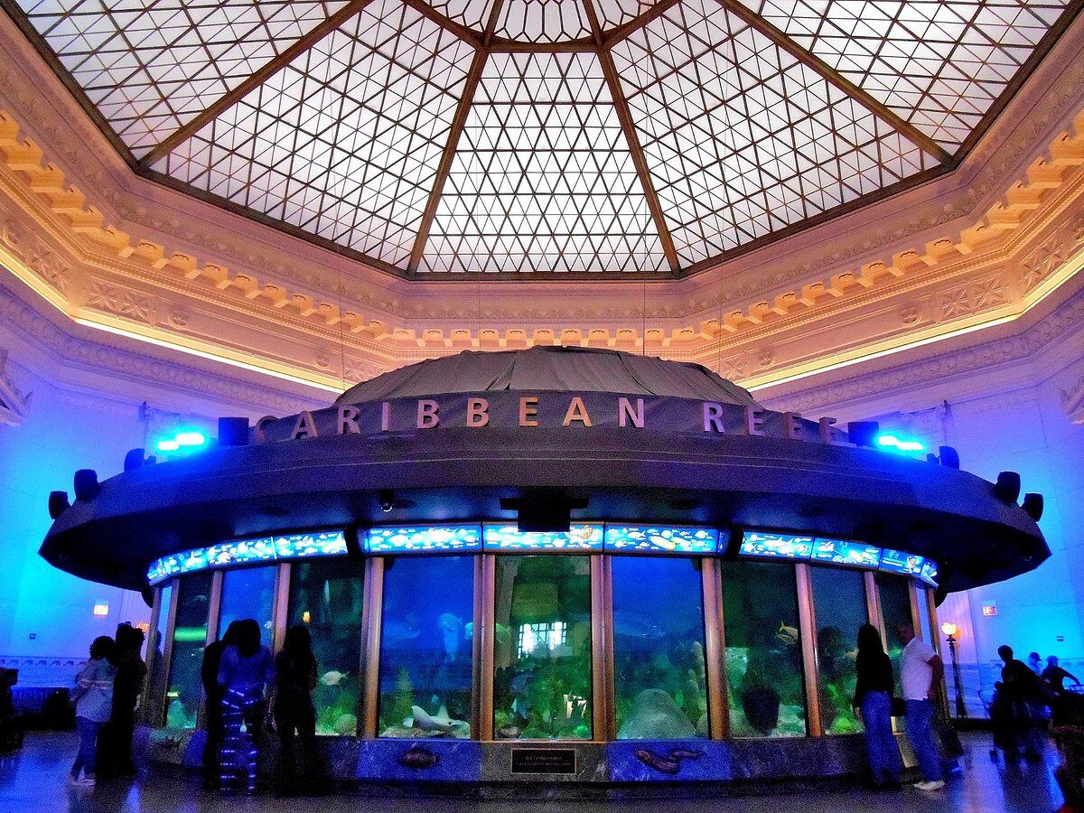 Picture of Shedd Aquarium