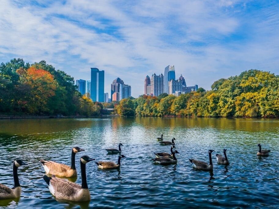 Picture of Piedmont Park