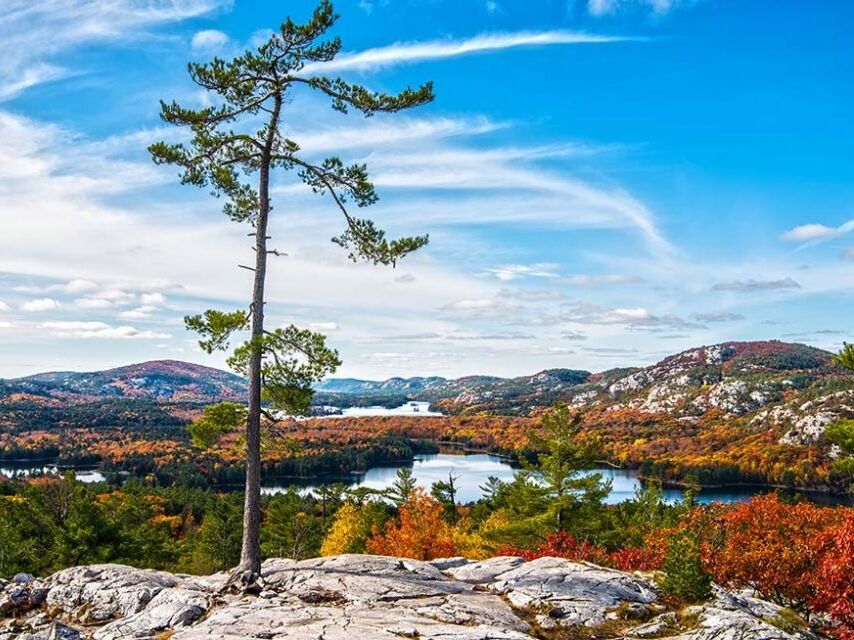 Picture of Killarney Provincial Park