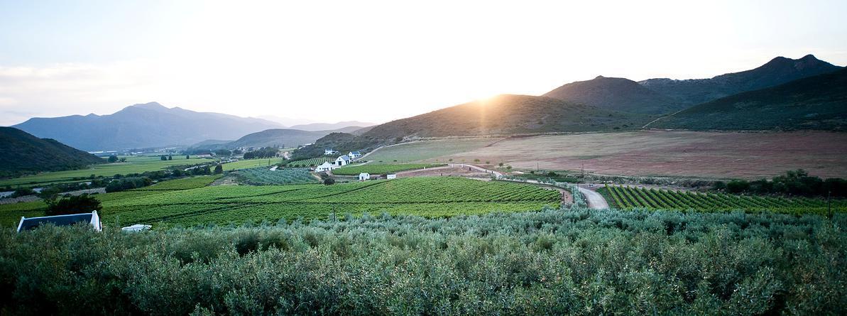 Picture of Orange Grove Farm, Luxury Robertson Accommodation
