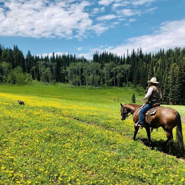 Picture of Guided Horseback Adventure @ Grand Targhee 
