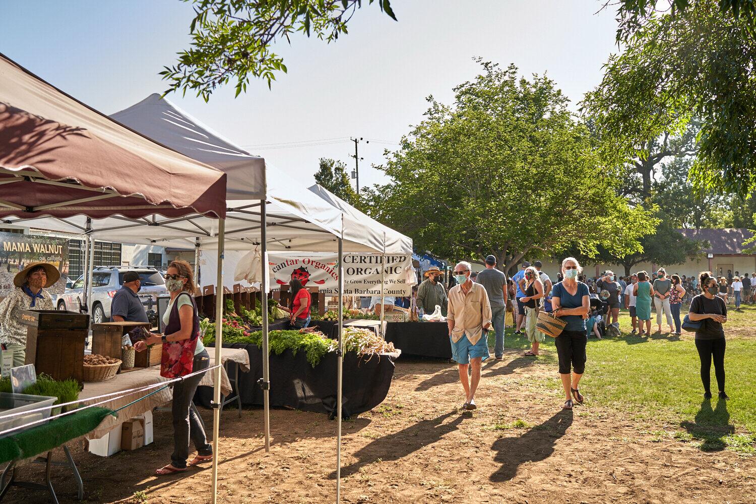 Picture of Thursday Farmers Market