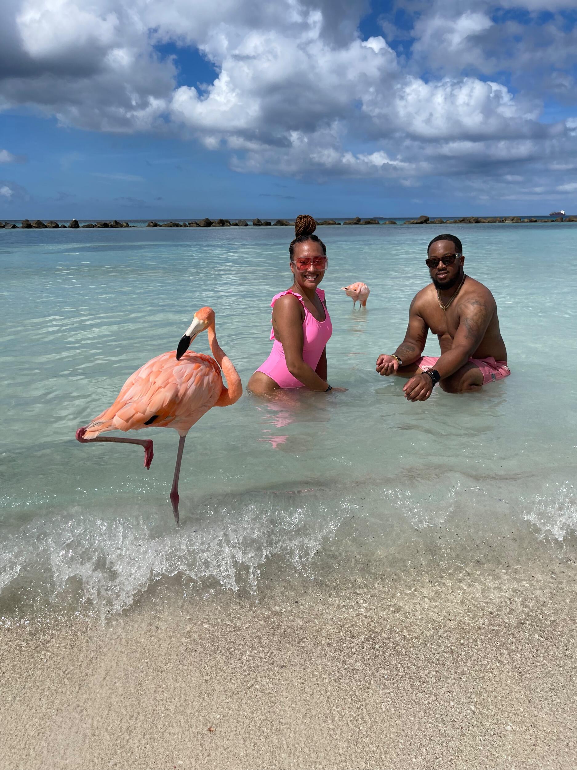 Flamingo Beach-Aruba